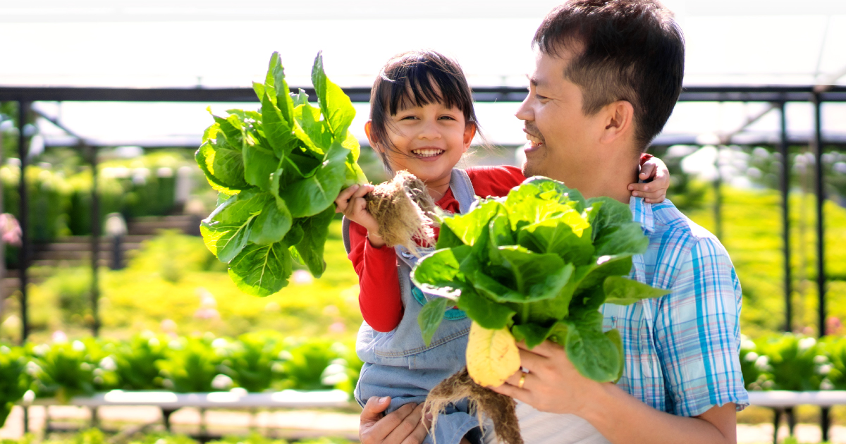 smart farming for better food production