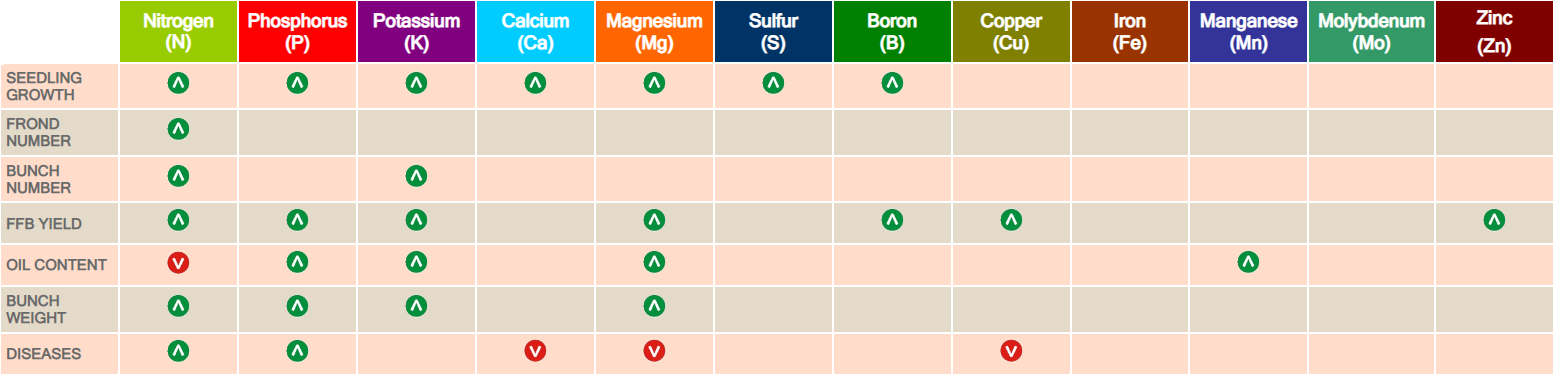 Soil Management: Improving crop and yield quality for oil palm with specific nutrients