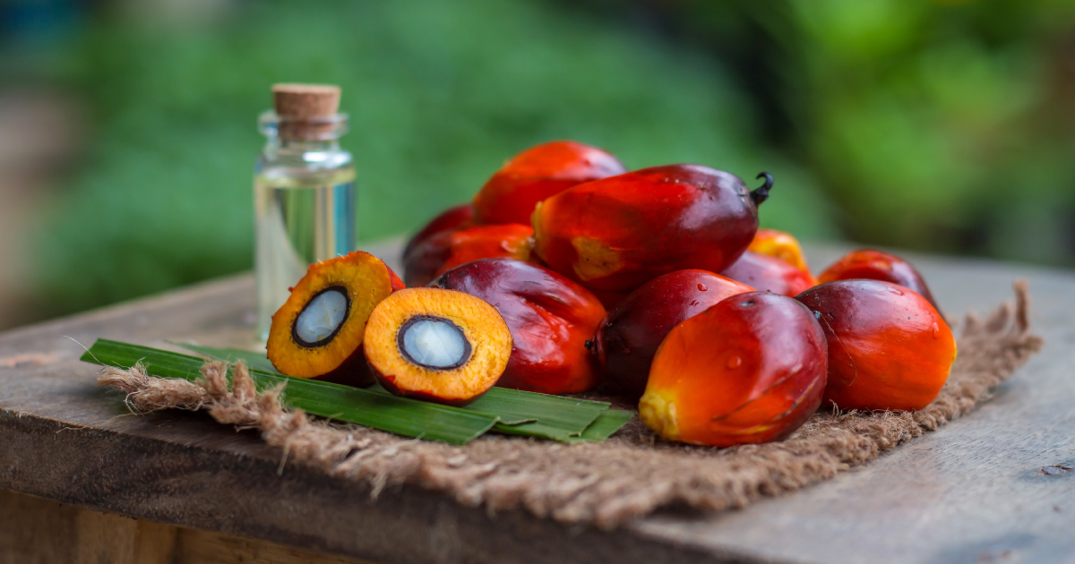 palm oil sustainability