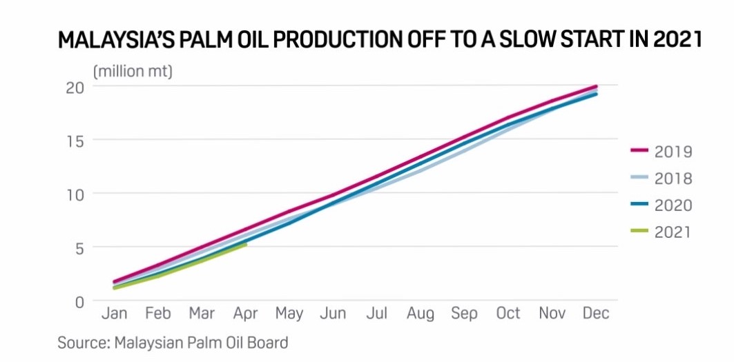 MPOB Graph of Malaysia's palm plantations during lockdown