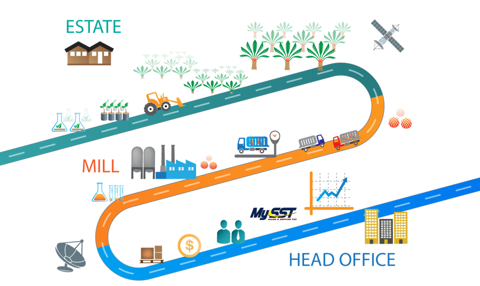 visibility and traceability for a sustainable palm oil value chain