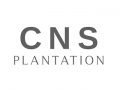 cns